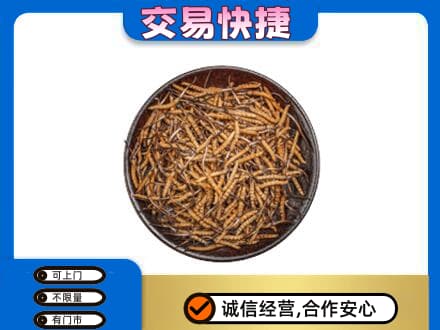 双鸭山高价回收散虫草